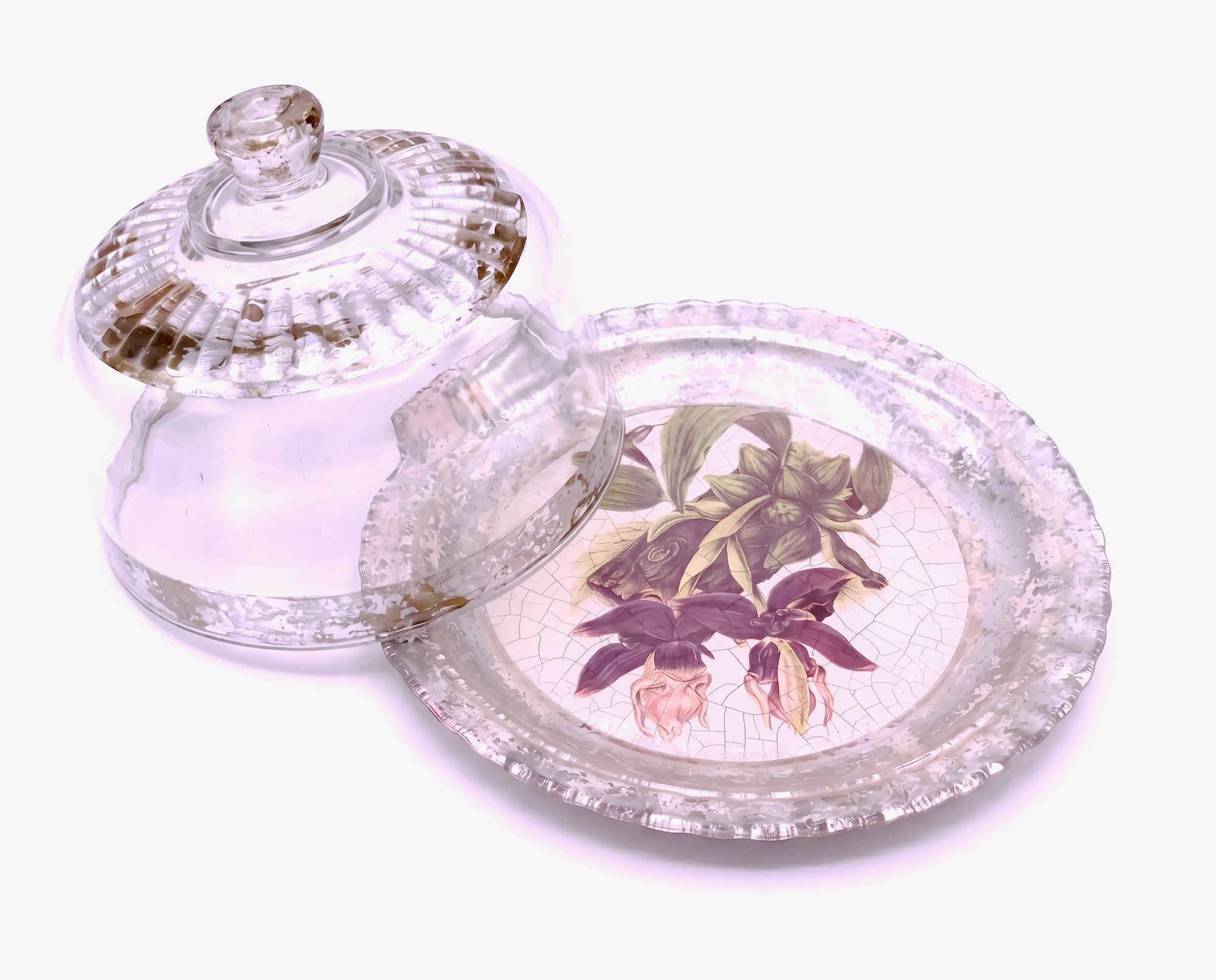 Amethyst Orchid Sm. Covered Fromage