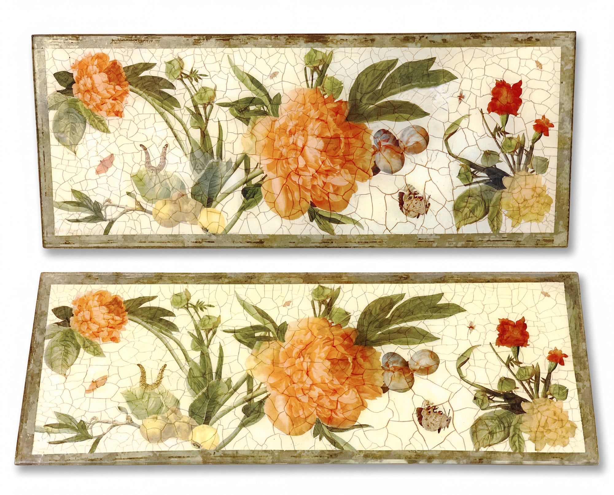 Apricot Peony Architectural Presentation Panel  21½" × 8½"