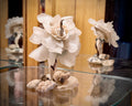 Coral Gardener Sea Glass — Flower