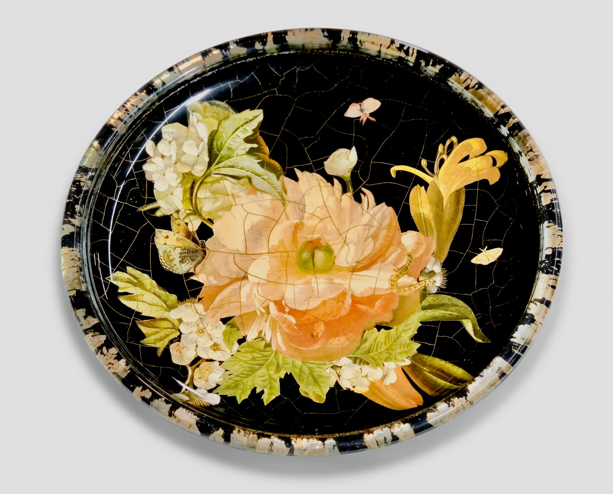 Lepidoptera 11" Signature Dinner Plate