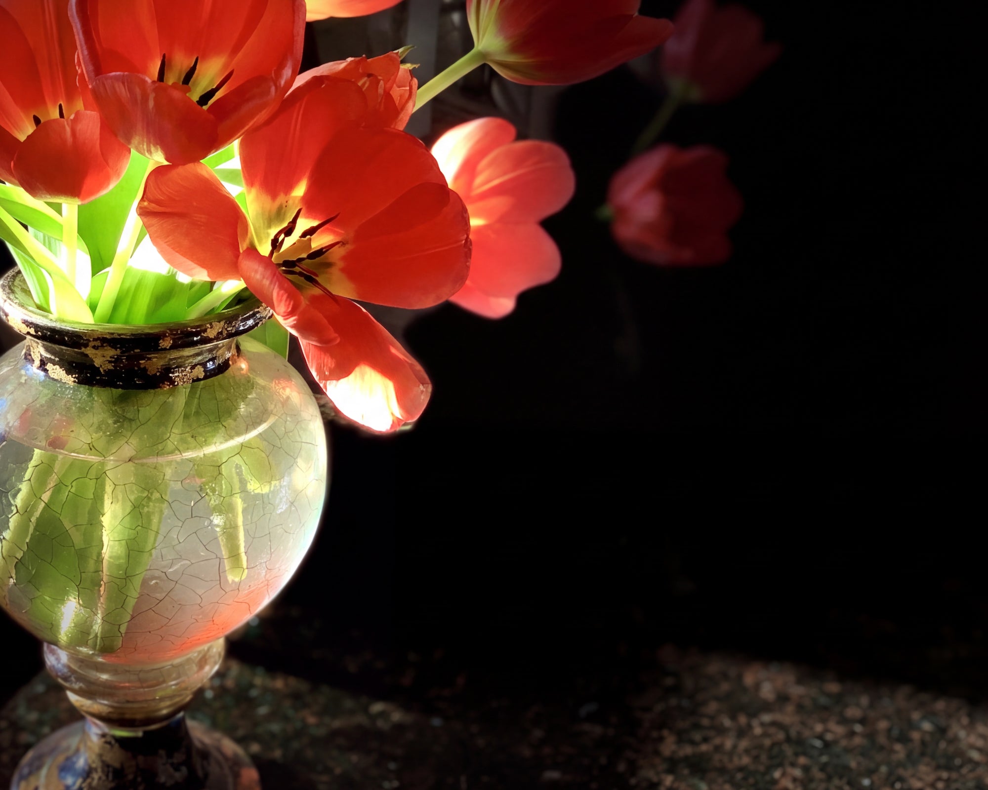 Lepidoptera Crackle Balloon & Amphora Vases — Rare Pair