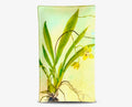 Orchidaceum 20” × 12” Rare Oncidium Orchid Rectangle Platter
