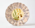 Orchidaceum 9” Fluted Plate Orchid and Hummingbird Blush #1