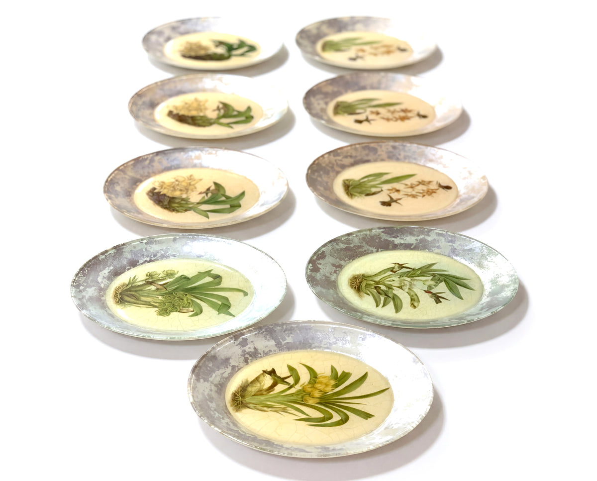 Orchidaceum Tri-Gold™ Assorted 10” Dinner Plates with 2” Hand-Colored Border — Set of 9
