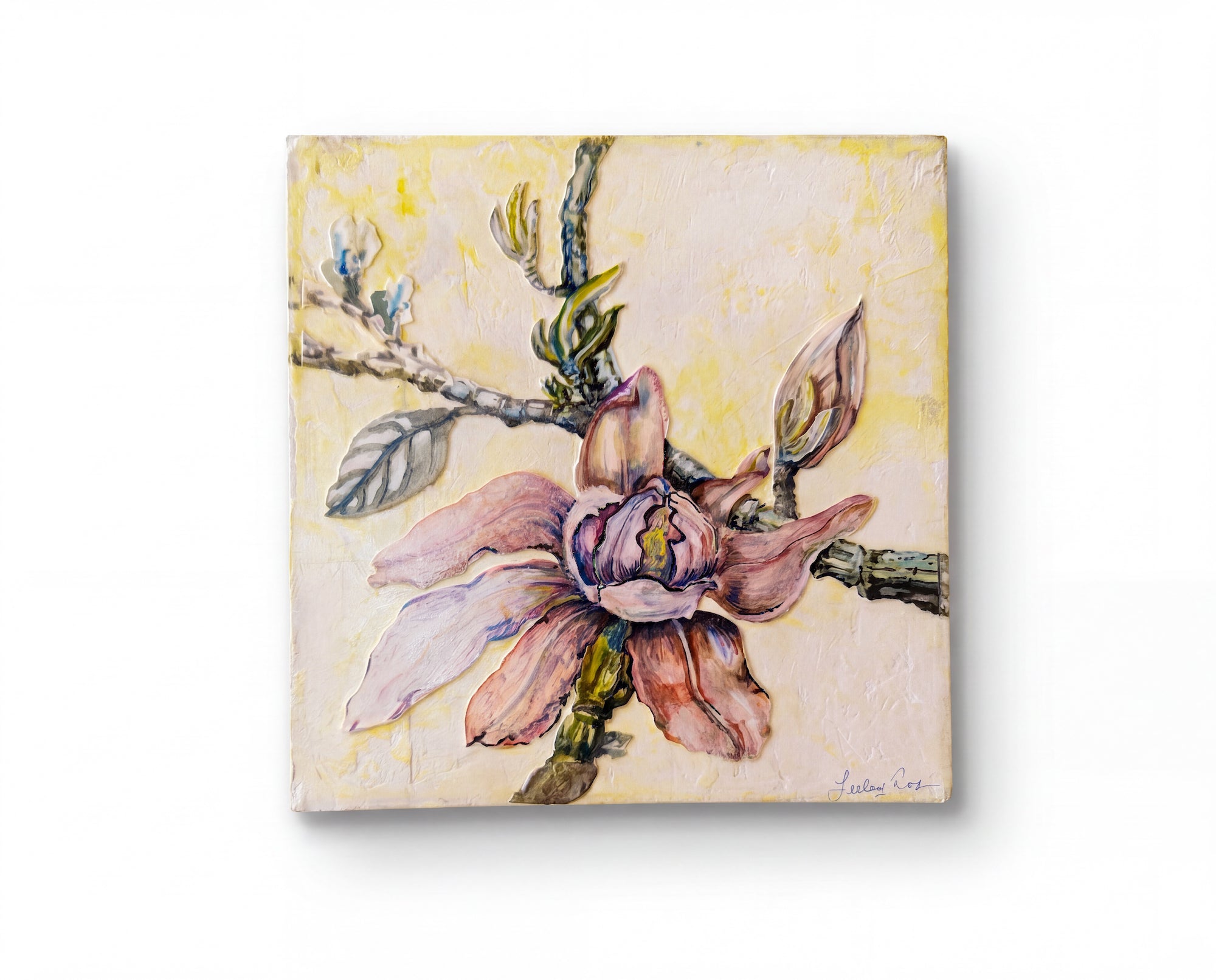 Pink Magnolia Study