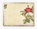 Rosarium 18" Glass Place-Setting & Presentation Board — Red Rosa Gallica