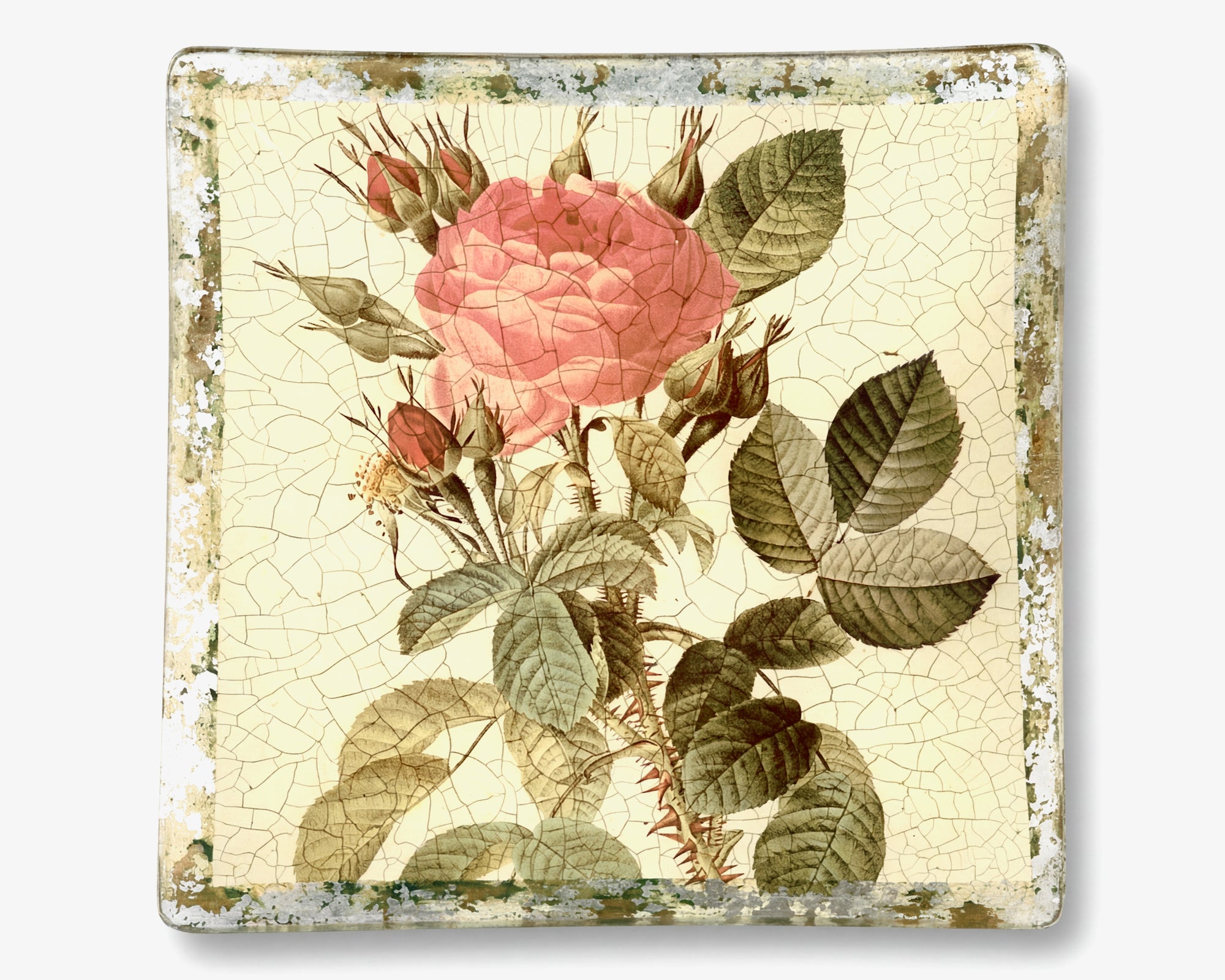 Rosarium Red Rosa Thorny Bifera 10" Square Platter