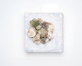Sea Glass Reliquary — Doha