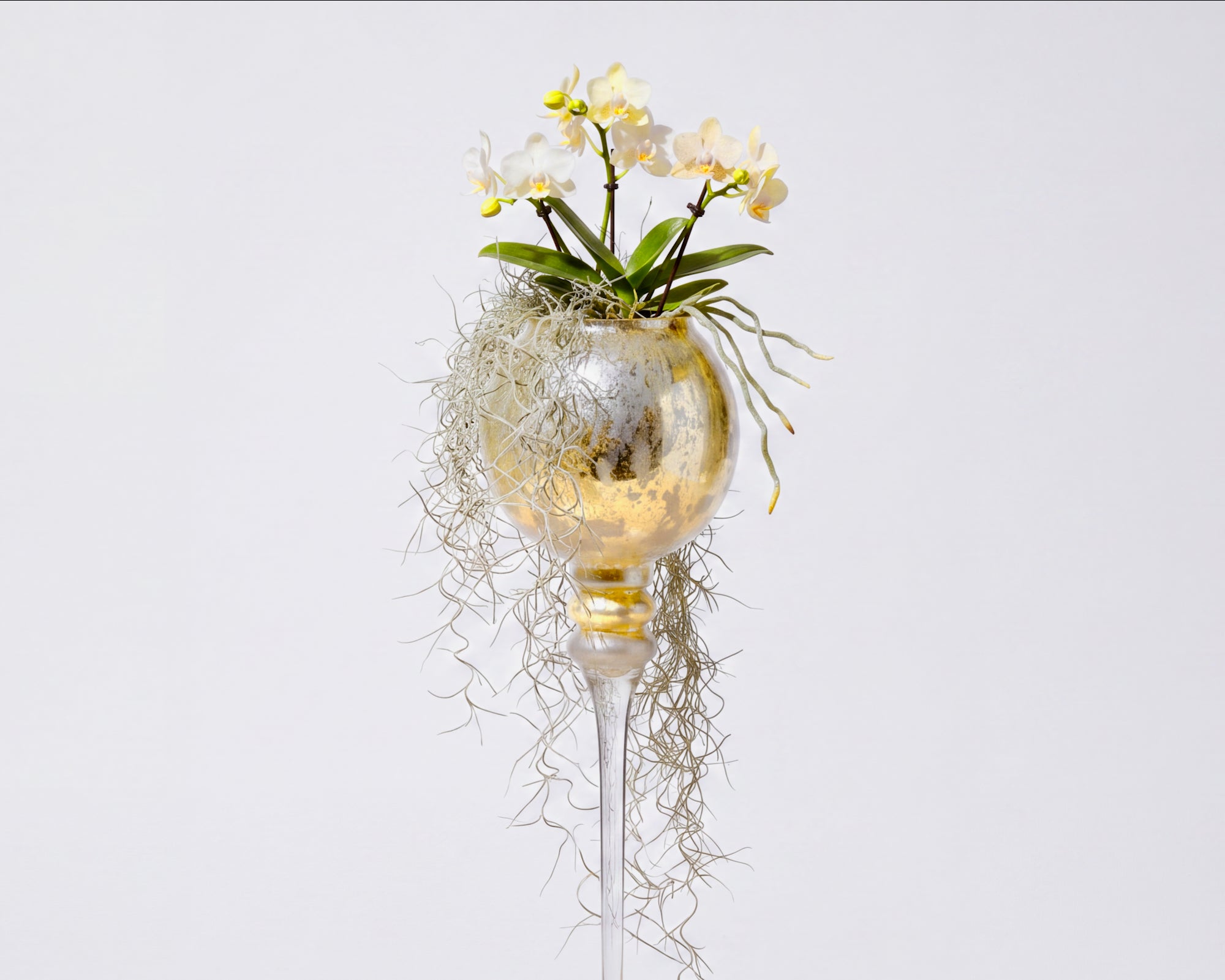 Tri-Gold Yellow™ — 23” Crystal Candle Globe & Floral Vessel