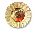Vineyard 9" Fluted Plate — Merlot Grape with Peaches
